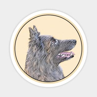 Belgian Tervuren Magnet